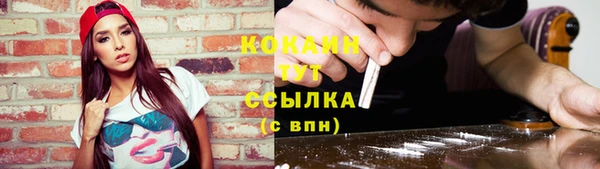 сатива Елабуга