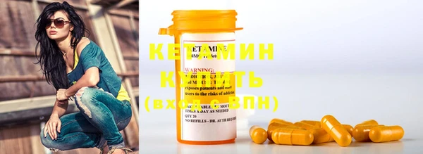 крисы Ельня