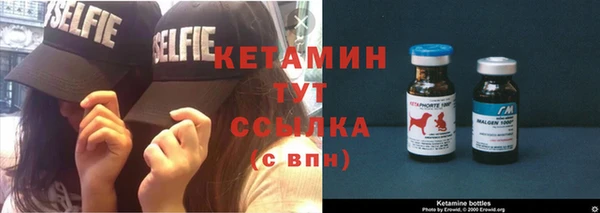 крисы Ельня