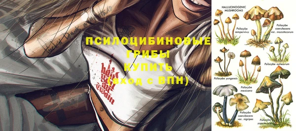 дживик Елизово