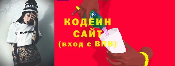 крисы Ельня