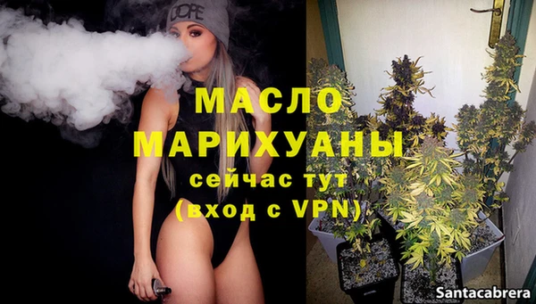сатива Елабуга