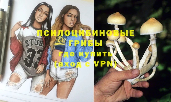 крисы Ельня
