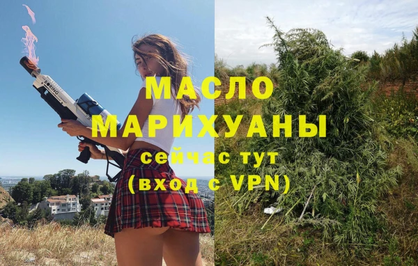 крисы Ельня