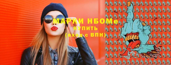 крисы Ельня