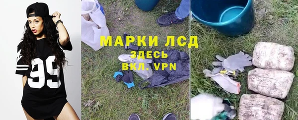 сатива Елабуга