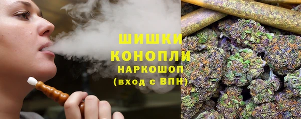 дживик Елизово