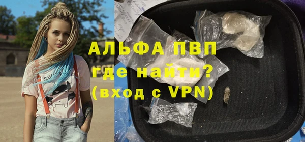сатива Елабуга