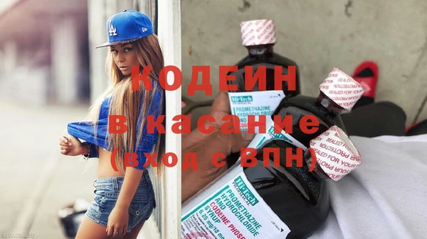 сатива Елабуга
