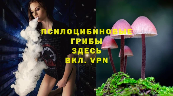 сатива Елабуга