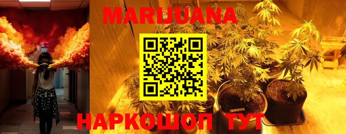 Бошки Шишки сатива  Каннабис конопля  Вход с VPN  Канабис OG Kush  Сокол 